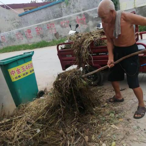 清理杂草美化环境