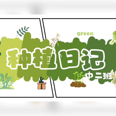 “椒”个朋友（种植地） ‍                    --中二班 ‍ ‍