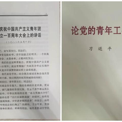 水果湖支行团委开展“坚强核心”主题教育