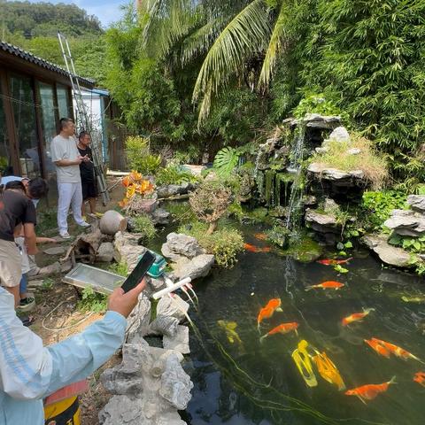 吉阳大道村集体用地66亩、水电路三通，有四个深水井，三个变压器，一个地磅，1500平配套房屋，厨房，食堂，茶室，风水鱼池，一个仓库，一个油库，多种果树以结果，菜地半亩，年租金160万.押金