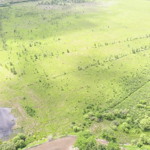 保护湿地 金川保护管理站一直在行动