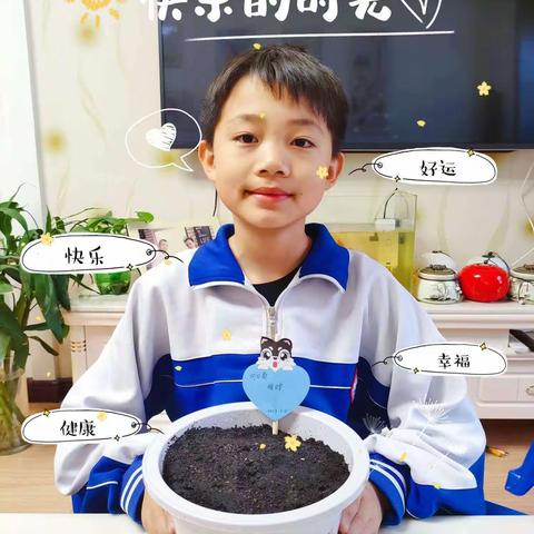 实验小学六年三班潘思宇远程种植活动——太阳花