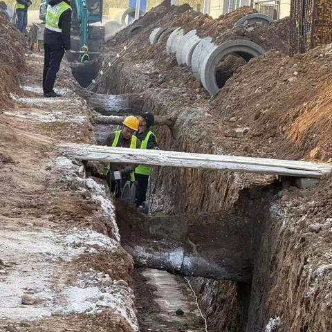 【巡线二科】2025年2月21日工作汇报