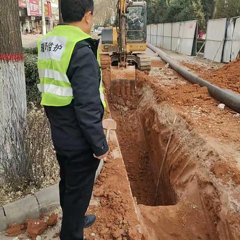 【巡线二科】2025月3日12日工作汇报