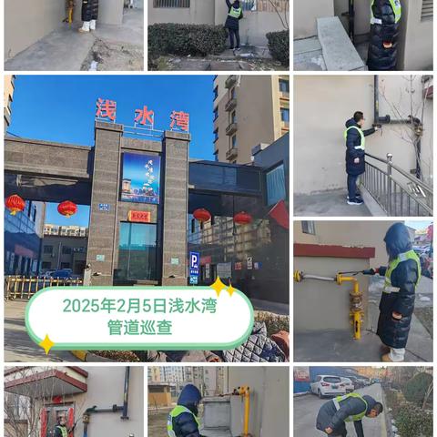 【巡线二科】2025年2月5日工作汇报