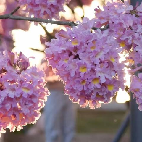 武书新境墨韵生辉.初心如磐再启新程