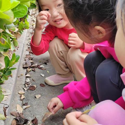 徜徉地球村对话大自然--彩叶节活动