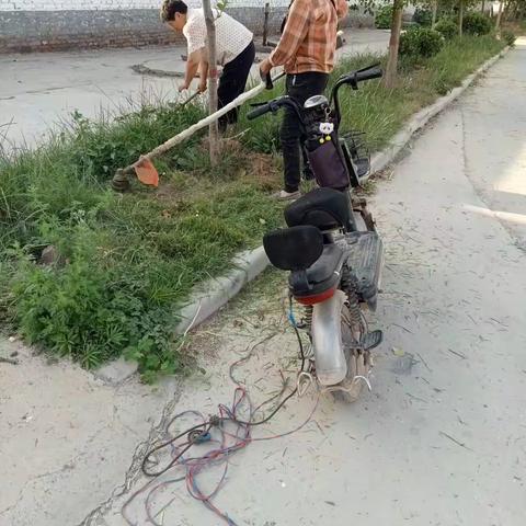 北关村整修村内道路两边绿化