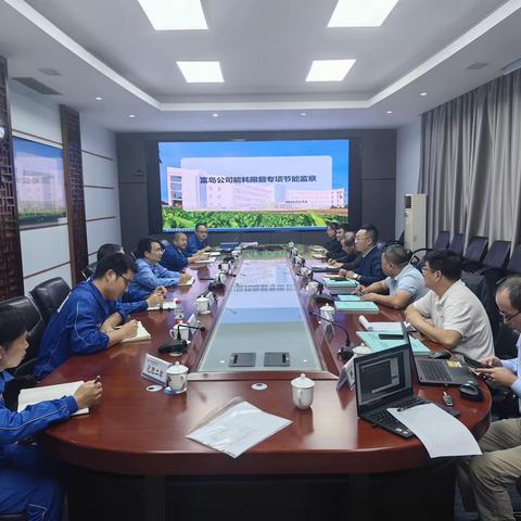 省工信厅至东方开展2023年节能监察、淘汰落后产能工作