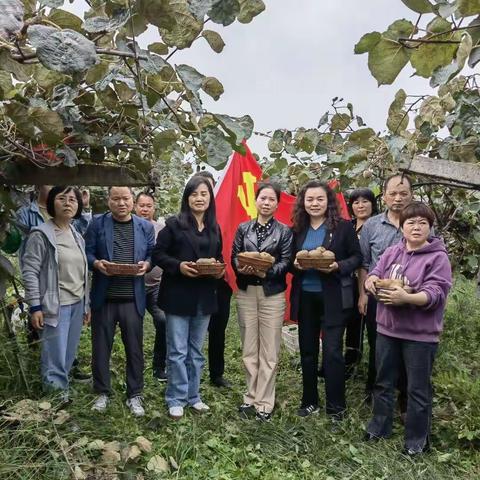 民呼我应，猕猴桃园献真情 周至县农机校党支部践行我为群众办实事