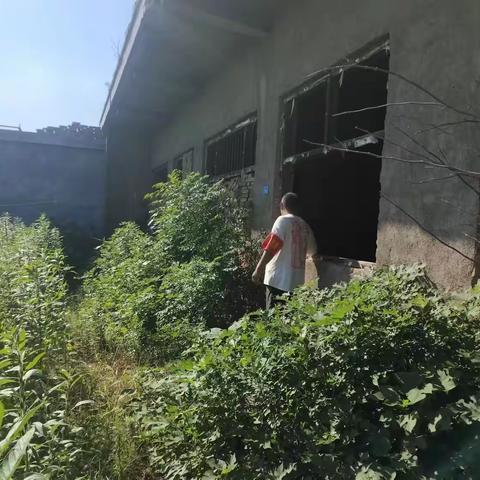 《排查“散乱污”企业，守护绿色家园》