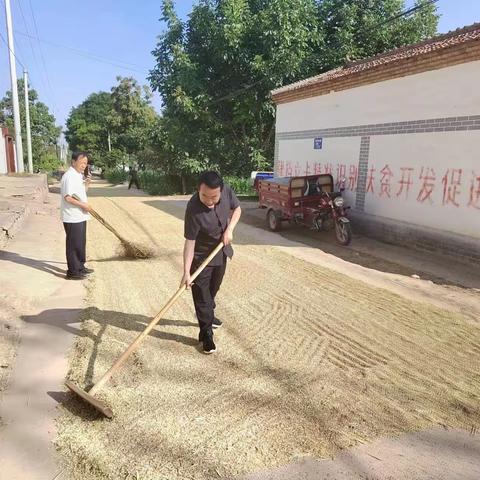 田间地头助夏收    真帮实干暖民心