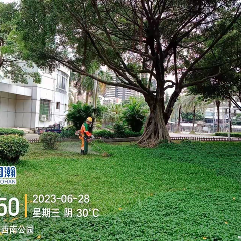 佛山市三水区国瀚城市服务有限公司-“西南街道智慧城市管家项目6月26日至7月2日工作简报