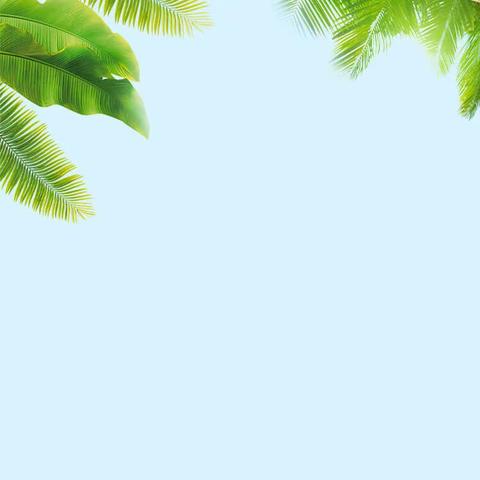 送清凉、送健康