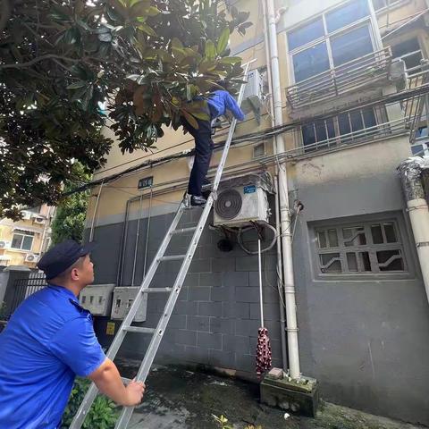 巡查帮忙两不误