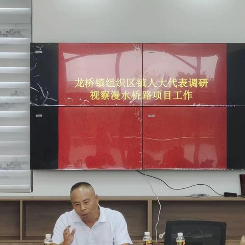 龙桥镇组织区镇人大代表调研视察漫水桥路项目工作