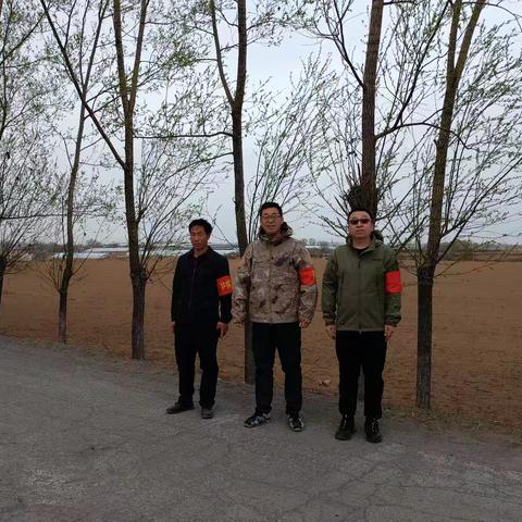 文明祭祀     绿色清明