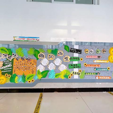 做不负时光的少年郎——三(2)向阳中队