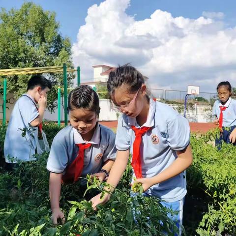 课后服务促“双减”，多彩课堂显特色——上栗镇上栗小学课后服务美篇