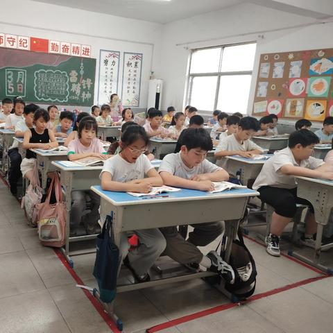 平舆县外国语小学东校区2024～2025学年下学期英语个人工作总结
