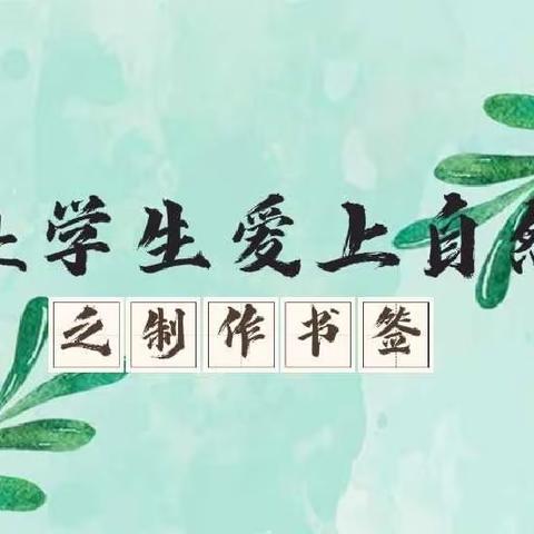 “让学生爱上自然”之“树叶大变身”——神木市第十二小学五年级5班实践活动