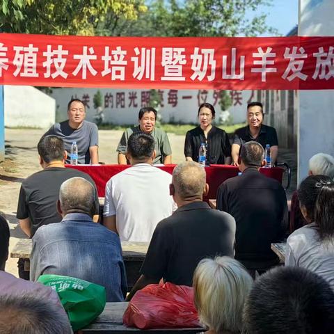 临渭区残联：奶山羊养殖产业激活曹沟村乡村振兴新动能