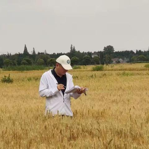 扎根农业沃土 书写奋斗篇章