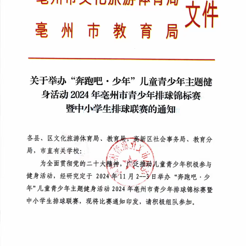 2024亳州市青少年排球锦标赛相关通知