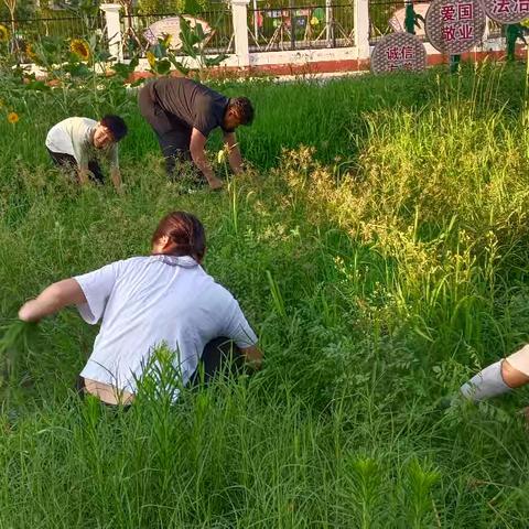 五年级八班暑假中草药基地劳动记实