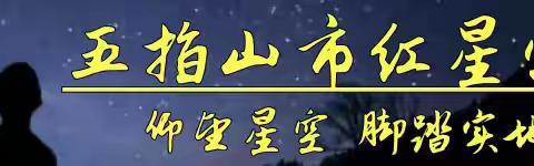 海南热带海洋学院附属中学红星学校党支部集中学习活动