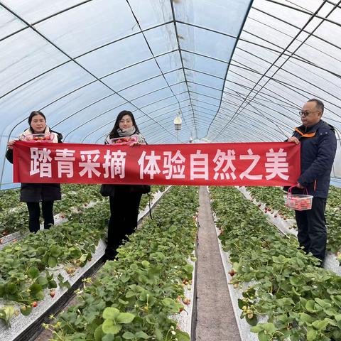 物资公司分工会庆祝“三八妇女节”---踏青入园摘草莓   体验自然之美