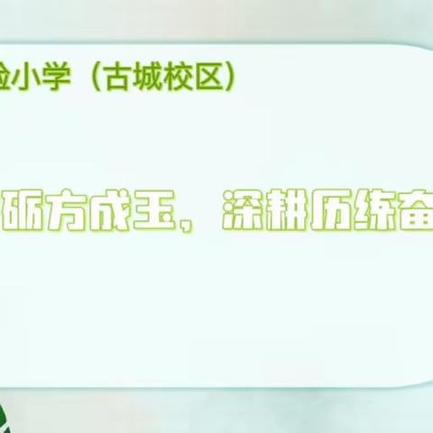 切磋磨砺方成玉，深耕历练奋楫时——西安市高陵区第一实验小学古城校区听课活动纪实