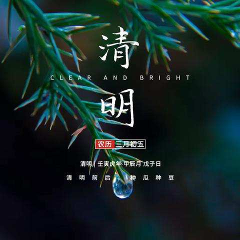 西街小学清明公益广告展播