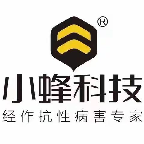 新品实验，配方筛选，打造抗性白粉虱爆品