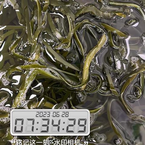 6.28宁波绿动体系安全日报