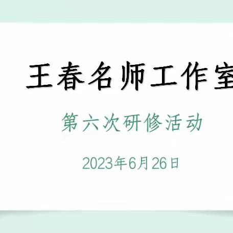 名师引领助成长，启思践行绽芬芳——自治区王春名师工作室第六次研修活动