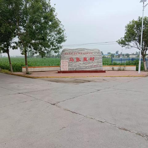 马张莫村：清理杂草垃圾 推进汛期人居环境整治