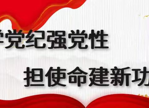 “学党纪强党性、担使命建新功”---吴忠市朝阳小学第一、二党支部主题党日活动