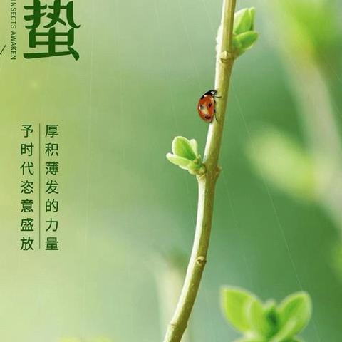 🍃春意浓，惊蛰鸣 ‍——小一班“惊蛰”节气主题教育活动