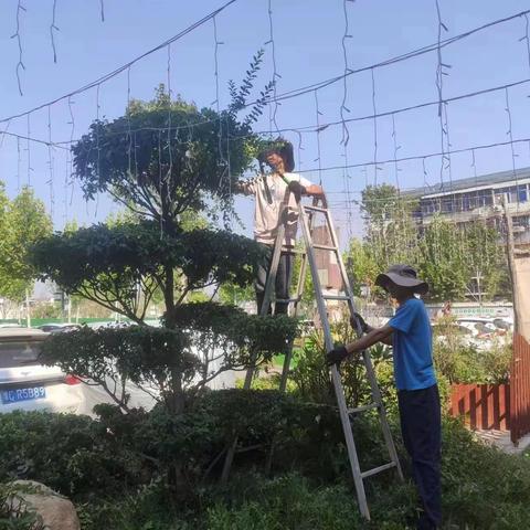 定鼎门街道“节后环境卫生整治不停歇”