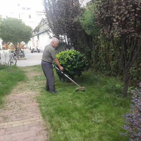 定鼎门街道“：人居环境“绿”起来，美丽乡村“靓”起来”