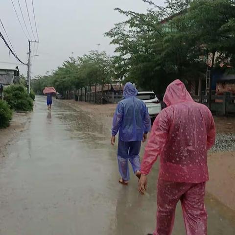 台风“泰利”期间，柳重贤书记冒雨视察危房户