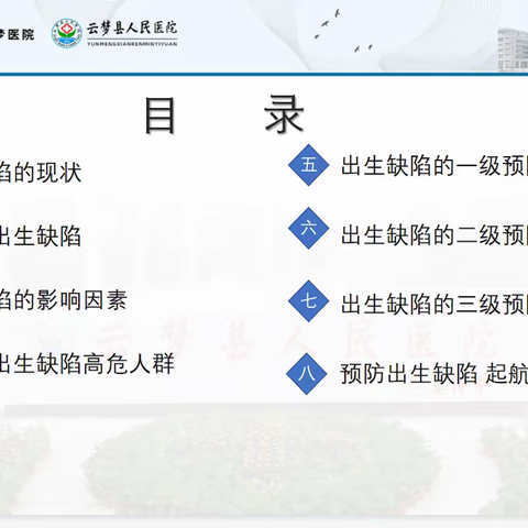 预防出生缺陷    起航健康人生