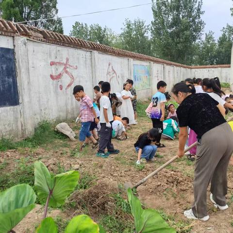 “小手种大蒜 童心品丰收” ——龙泉镇中心校大湾张小学大蒜种植劳动教育实践活动纪实