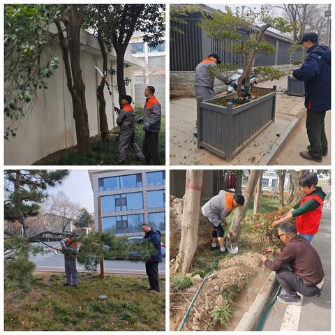 世合物业陕西省工人疗养院管理处 双手呵护一花一草，朝夕雕琢绿意成诗