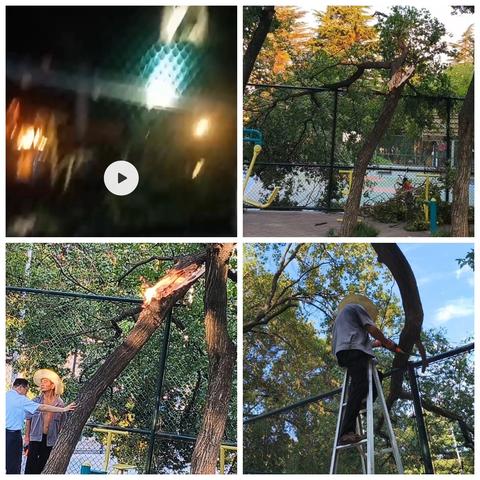 齐心协力护场地 暖心接力显担当 ___世合物业省工疗管理处风后清障