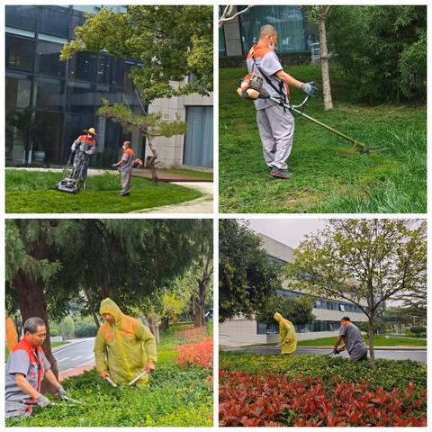世合物业陕西省工人疗养院管理处 雨停的间隙就是冲锋的号角