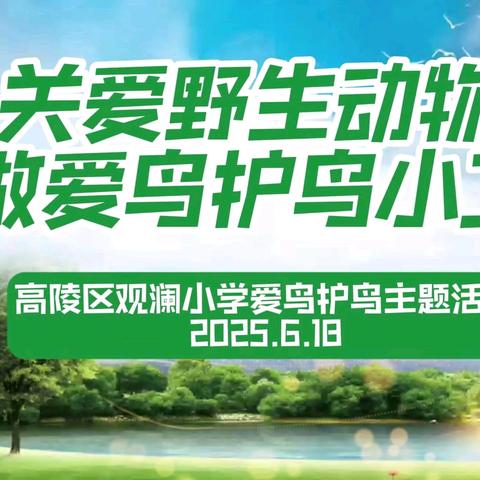 爱护野生动物，争做爱鸟护鸟小达人——高陵区观澜小学爱护野生动物活动纪实