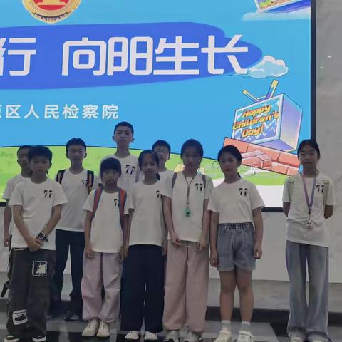 白果的简篇