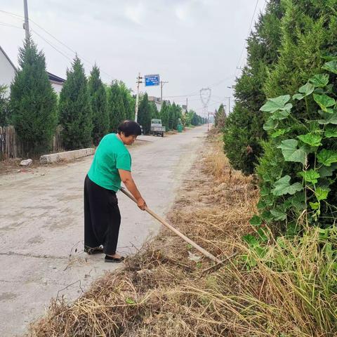 占城镇东樊村：整治环境再发力，推进振兴再提速